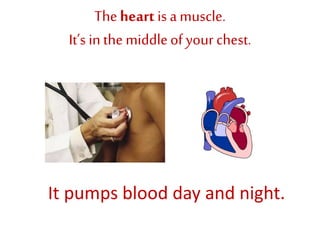 Theheart is amuscle.
It’s in the middleof your chest.
It pumps blood day and night.
 