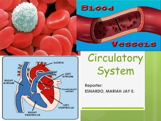 Circulatory
System
Reporter:
ESNARDO, MARIAH JAY E.
 