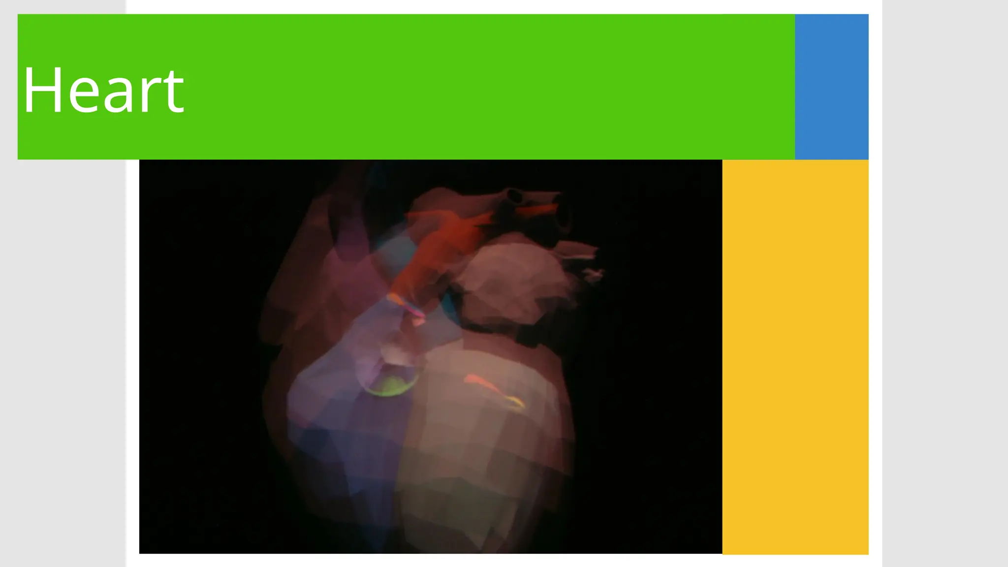 Heart
 