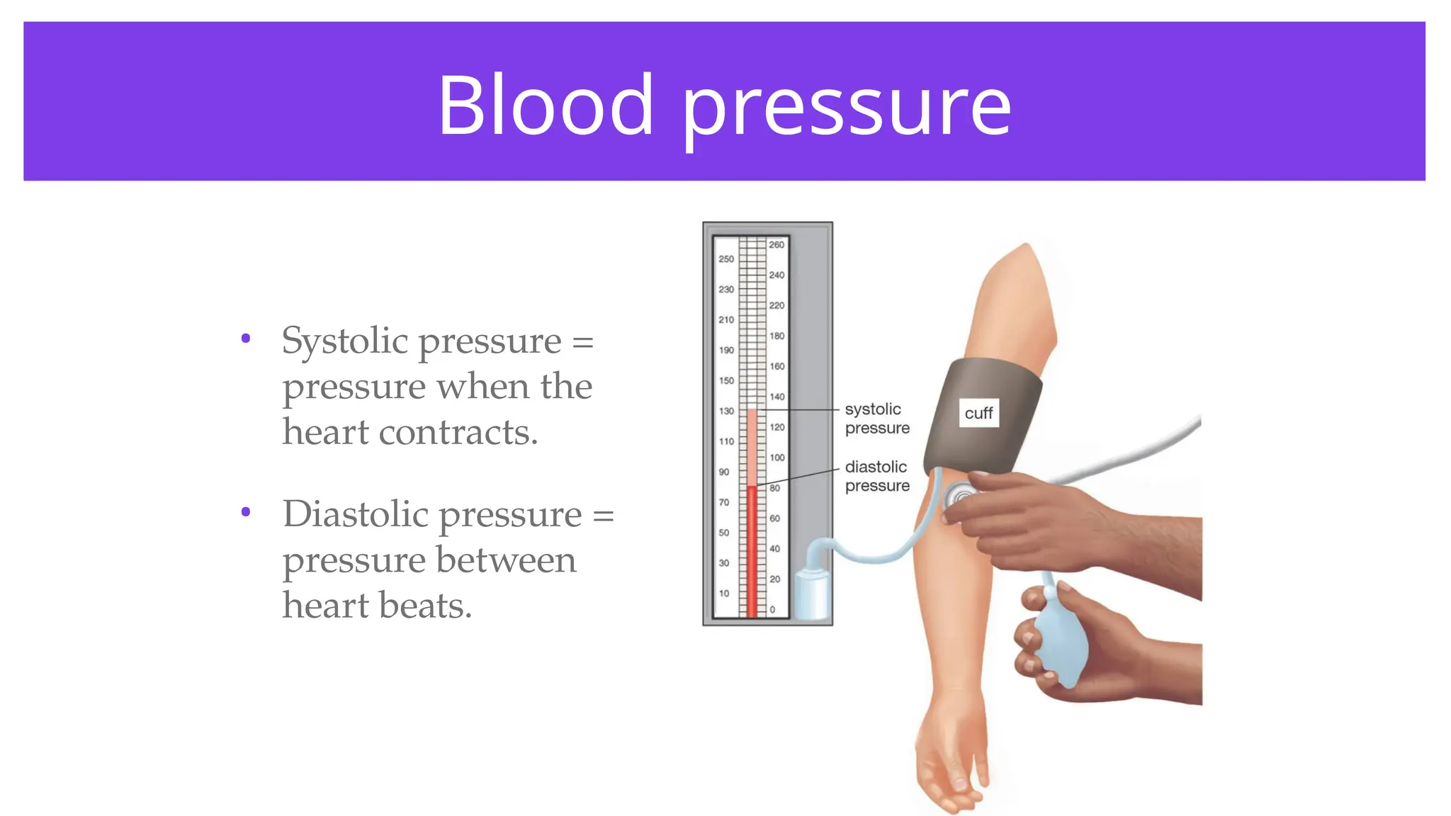 Blood pressure
• Systolic pressure =
pressure when the
heart contracts.
• Diastolic pressure =
pressure between
heart beats.
 
