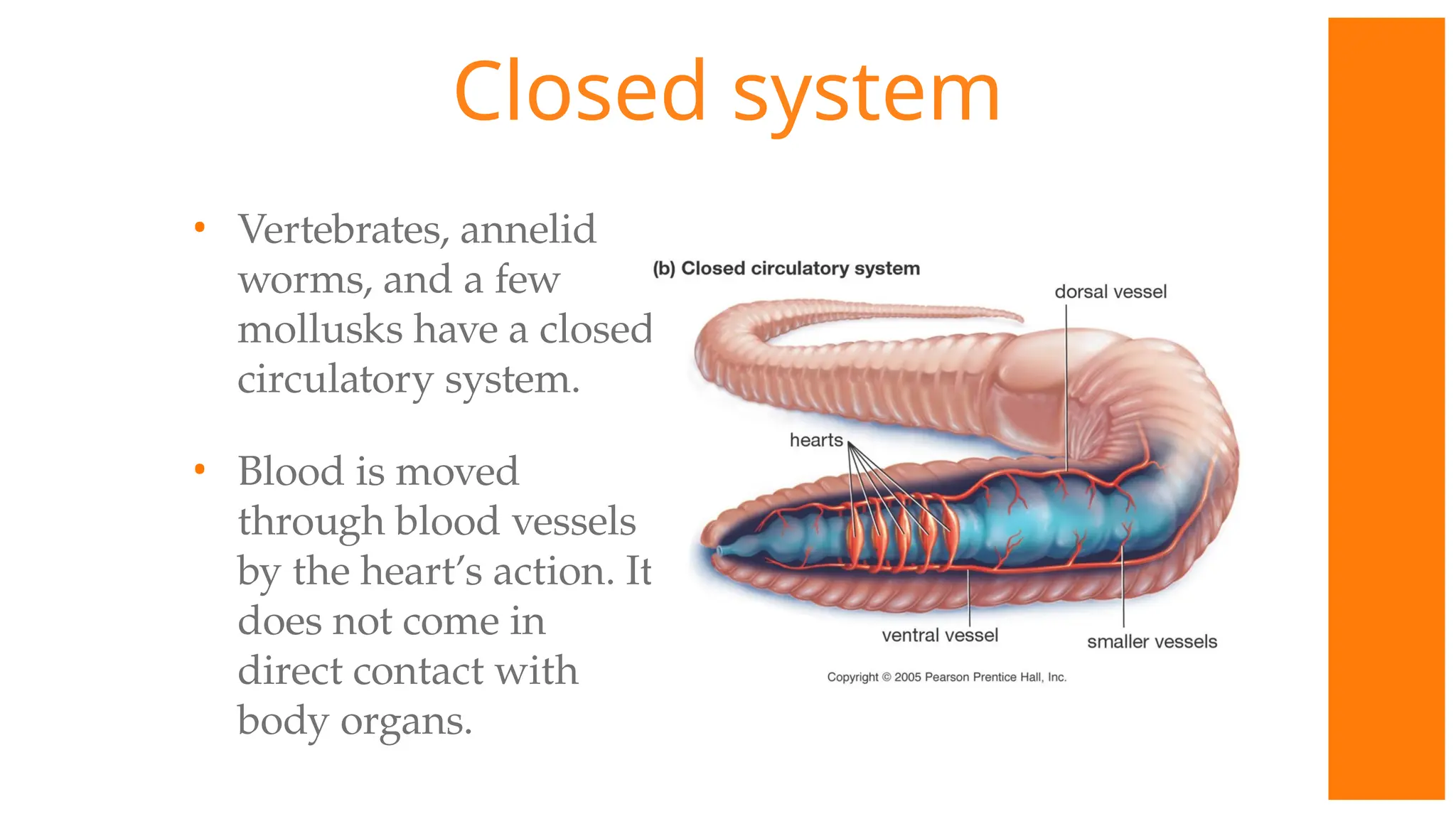 Closed system
• Vertebrates, annelid
worms, and a few
mollusks have a closed
circulatory system.
• Blood is moved
through blood vessels
by the heart’s action. It
does not come in
direct contact with
body organs.
 