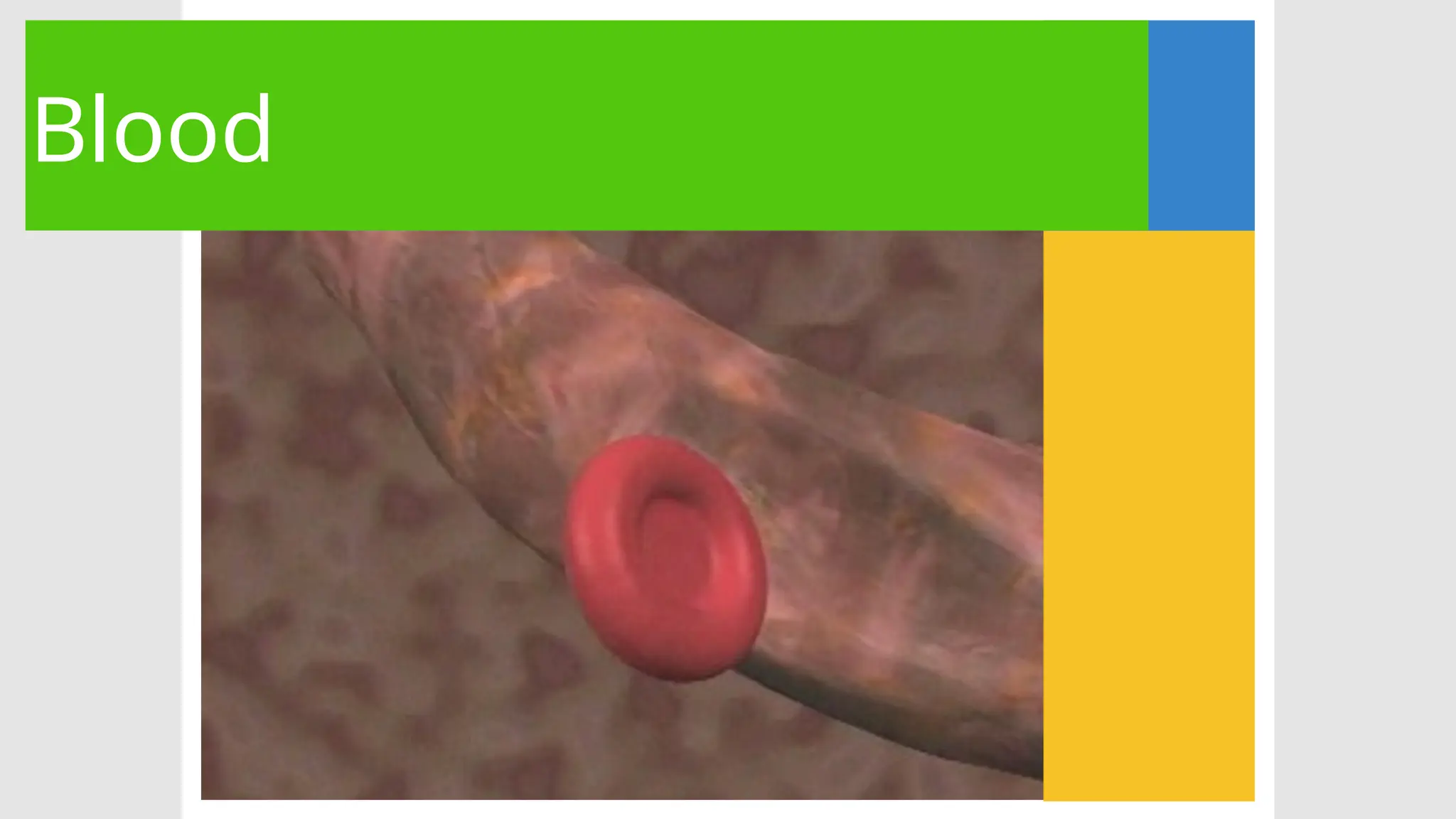 Blood
 