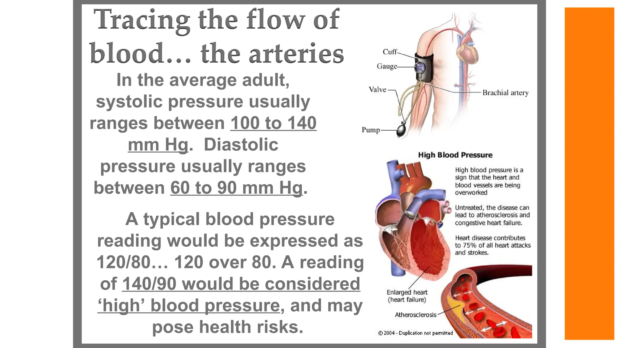 In the average adult,
systolic pressure usually
ranges between 100 to 140
mm Hg. Diastolic
pressure usually ranges
between 60 to 90 mm Hg.
A typical blood pressure
reading would be expressed as
120/80… 120 over 80. A reading
of 140/90 would be considered
‘high’ blood pressure, and may
pose health risks.
 