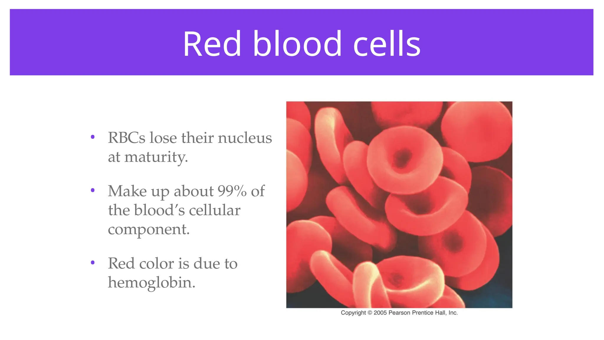 Red blood cells
• RBCs lose their nucleus
at maturity.
• Make up about 99% of
the blood’s cellular
component.
• Red color is due to
hemoglobin.
 
