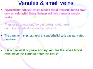 This image shows how veins have valves which stop the blood from flowing
backwards. They are needed as there is so little ...