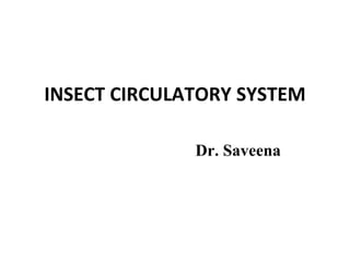 INSECT CIRCULATORY SYSTEM
Dr. Saveena
 