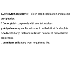 e.Cystocyte(Coagulocyte): Role in blood coagulation and plasma
precipitation.
f. Oenocytoids: Large cells with ecentric nucleus
g. Adipo haemocytes: Round or avoid with distinct fat droplets
h.Podocyte: Large flattened cells with number of protoplasmic
projections.
i. Vermiform cells: Rare type, long thread like.
 