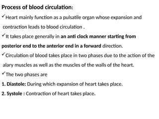 Process of blood circulation:
Heart mainly function as a pulsatile organ whose expansion and
contraction leads to blood circulation .
It takes place generally in an anti clock manner starting from
posterior end to the anterior end in a forward direction.
Circulation of blood takes place in two phases due to the action of the
alary muscles as well as the muscles of the walls of the heart.
The two phases are
1. Diastole: During which expansion of heart takes place.
2. Systole : Contraction of heart takes place.
 