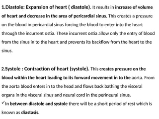 1.Diastole: Expansion of heart ( diastole). It results in increase of volume
of heart and decrease in the area of pericardial sinus. This creates a pressure
on the blood in pericardial sinus forcing the blood to enter into the heart
through the incurrent ostia. These incurrent ostia allow only the entry of blood
from the sinus in to the heart and prevents its backflow from the heart to the
sinus.
2.Systole : Contraction of heart (systole). This creates pressure on the
blood within the heart leading to its forward movement in to the aorta. From
the aorta blood enters in to the head and flows back bathing the visceral
organs in the visceral sinus and neural cord in the perineural sinus.
In between diastole and systole there will be a short period of rest which is
known as diastasis.
 