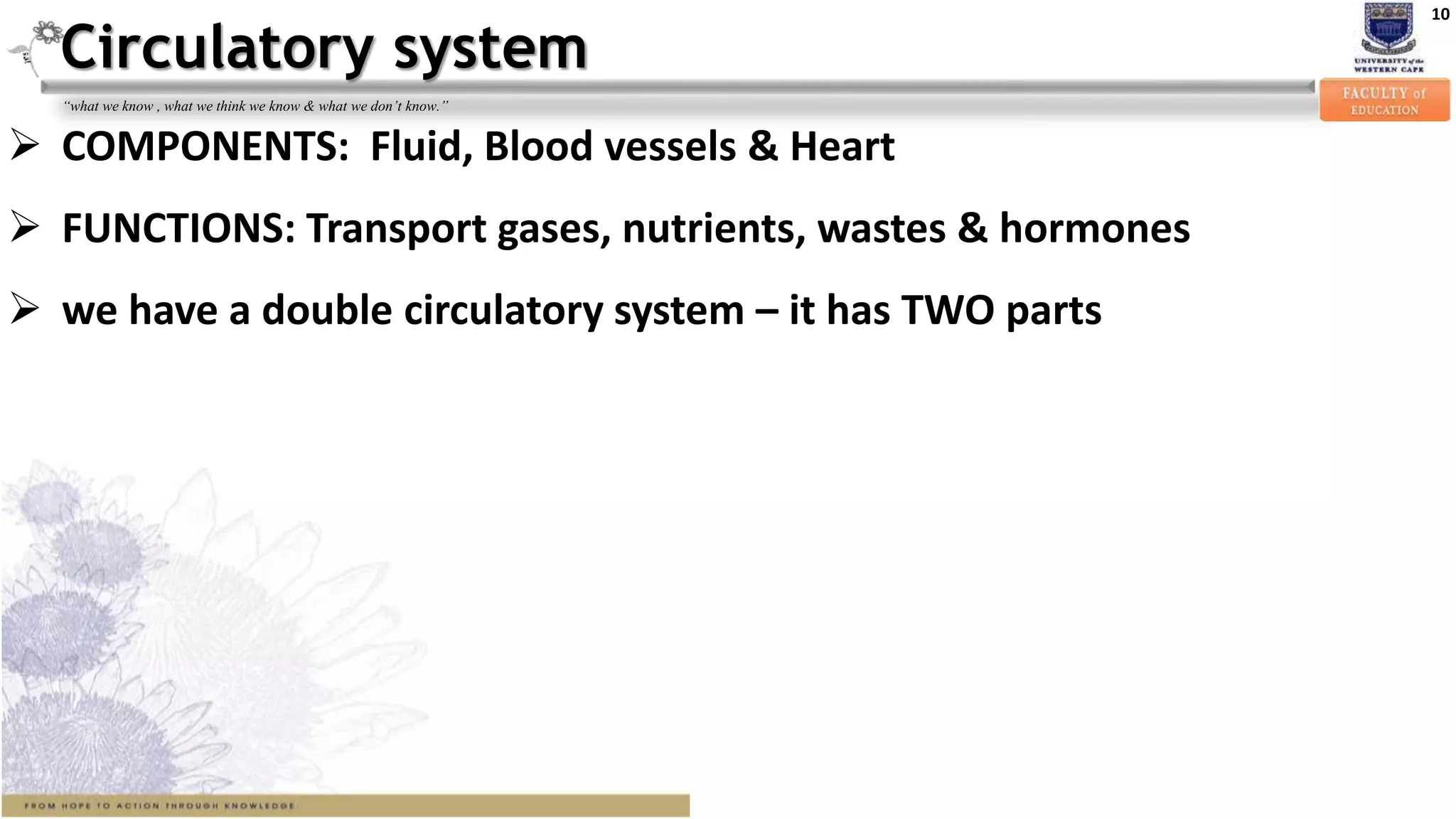 10
“what we know , what we think we know & what we don’t know.”
Circulatory system
 COMPONENTS: Fluid, Blood vessels & Heart
 FUNCTIONS: Transport gases, nutrients, wastes & hormones
 we have a double circulatory system – it has TWO parts
 
