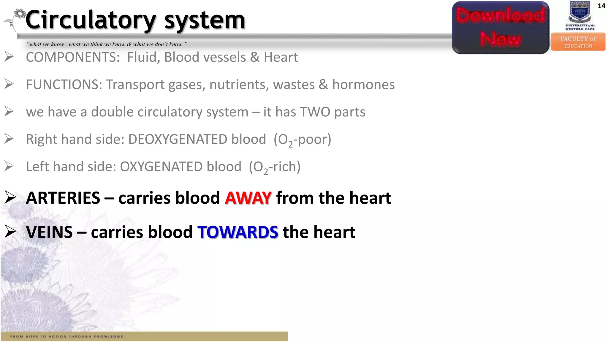 14
“what we know , what we think we know & what we don’t know.”
 COMPONENTS: Fluid, Blood vessels & Heart
 FUNCTIONS: Transport gases, nutrients, wastes & hormones
 we have a double circulatory system – it has TWO parts
 Right hand side: DEOXYGENATED blood (O2-poor)
 Left hand side: OXYGENATED blood (O2-rich)
 ARTERIES – carries blood AWAY from the heart
 VEINS – carries blood TOWARDS the heart
Circulatory system
 