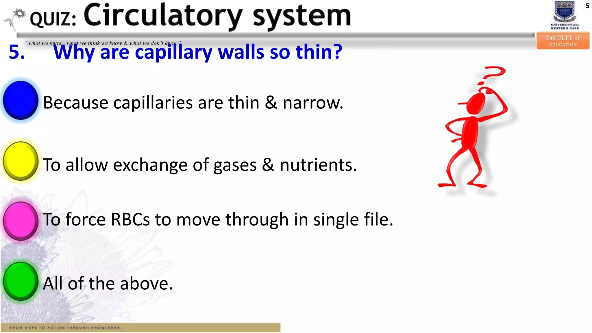 5
“what we know , what we think we know & what we don’t know.”
5. Why are capillary walls so thin?
Because capillaries are thin & narrow.
To allow exchange of gases & nutrients.
All of the above.
To force RBCs to move through in single file.
 