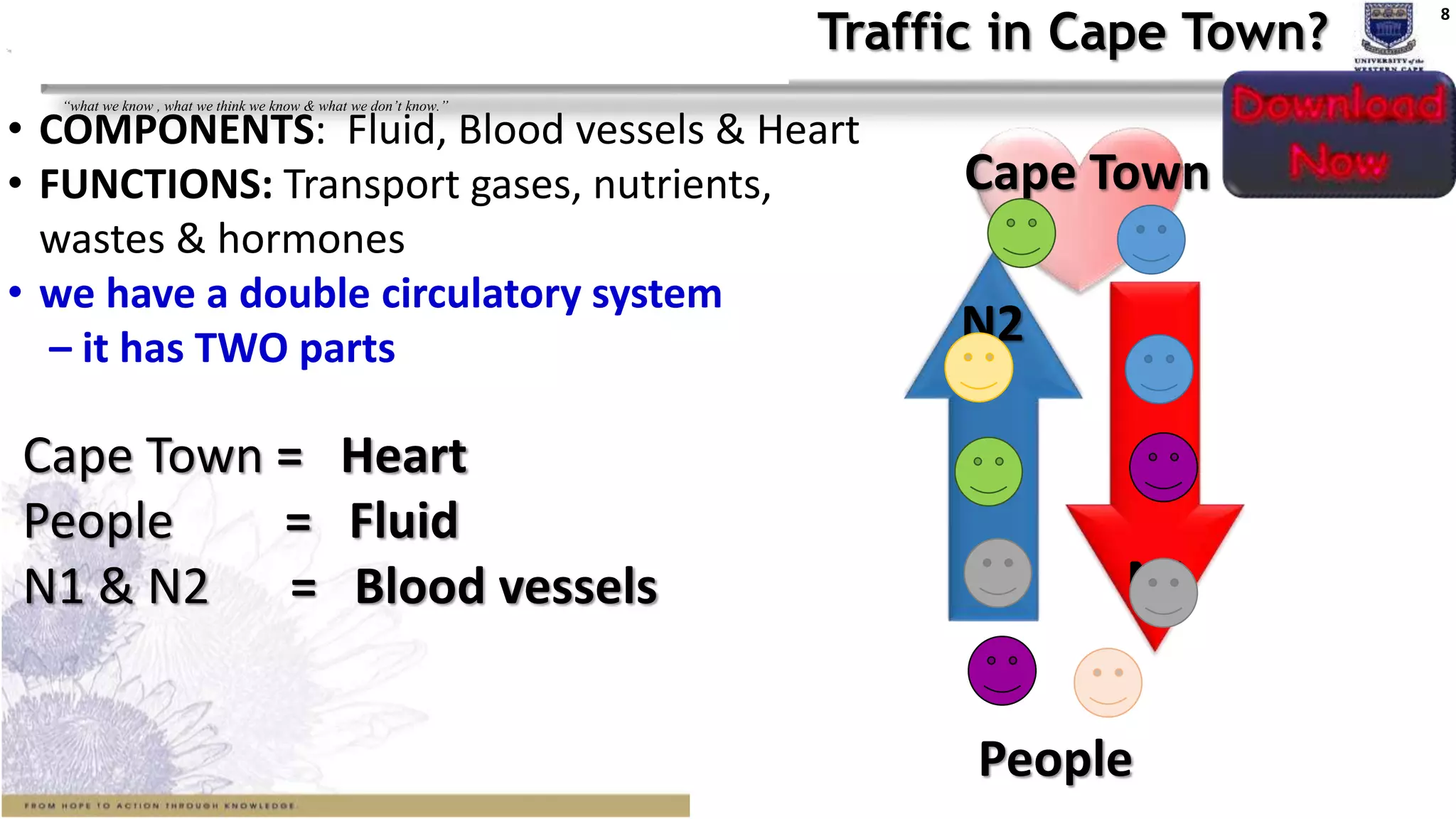 8
“what we know , what we think we know & what we don’t know.”
Circulatory system vs Traffic in Cape Town?
• COMPONENTS: Fluid, Blood vessels & Heart
• FUNCTIONS: Transport gases, nutrients,
wastes & hormones
• we have a double circulatory system
– it has TWO parts
Cape Town = Heart
People = Fluid
N1 & N2 = Blood vessels
N2
Cape Town
People
N1
 