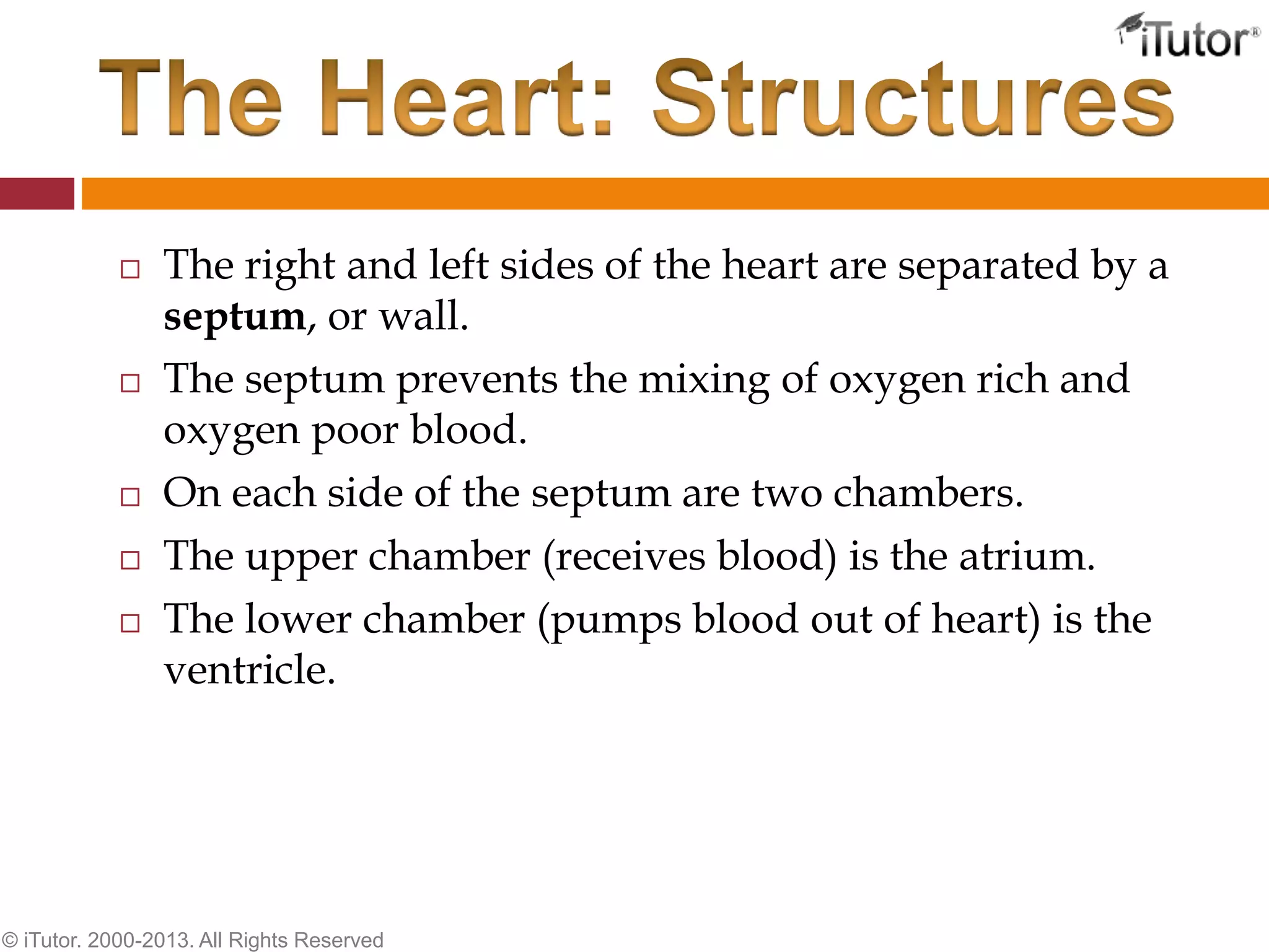  The right and left sides of the heart are separated by a
septum, or wall.
 The septum prevents the mixing of oxygen rich and
oxygen poor blood.
 On each side of the septum are two chambers.
 The upper chamber (receives blood) is the atrium.
 The lower chamber (pumps blood out of heart) is the
ventricle.
© iTutor. 2000-2013. All Rights Reserved
 
