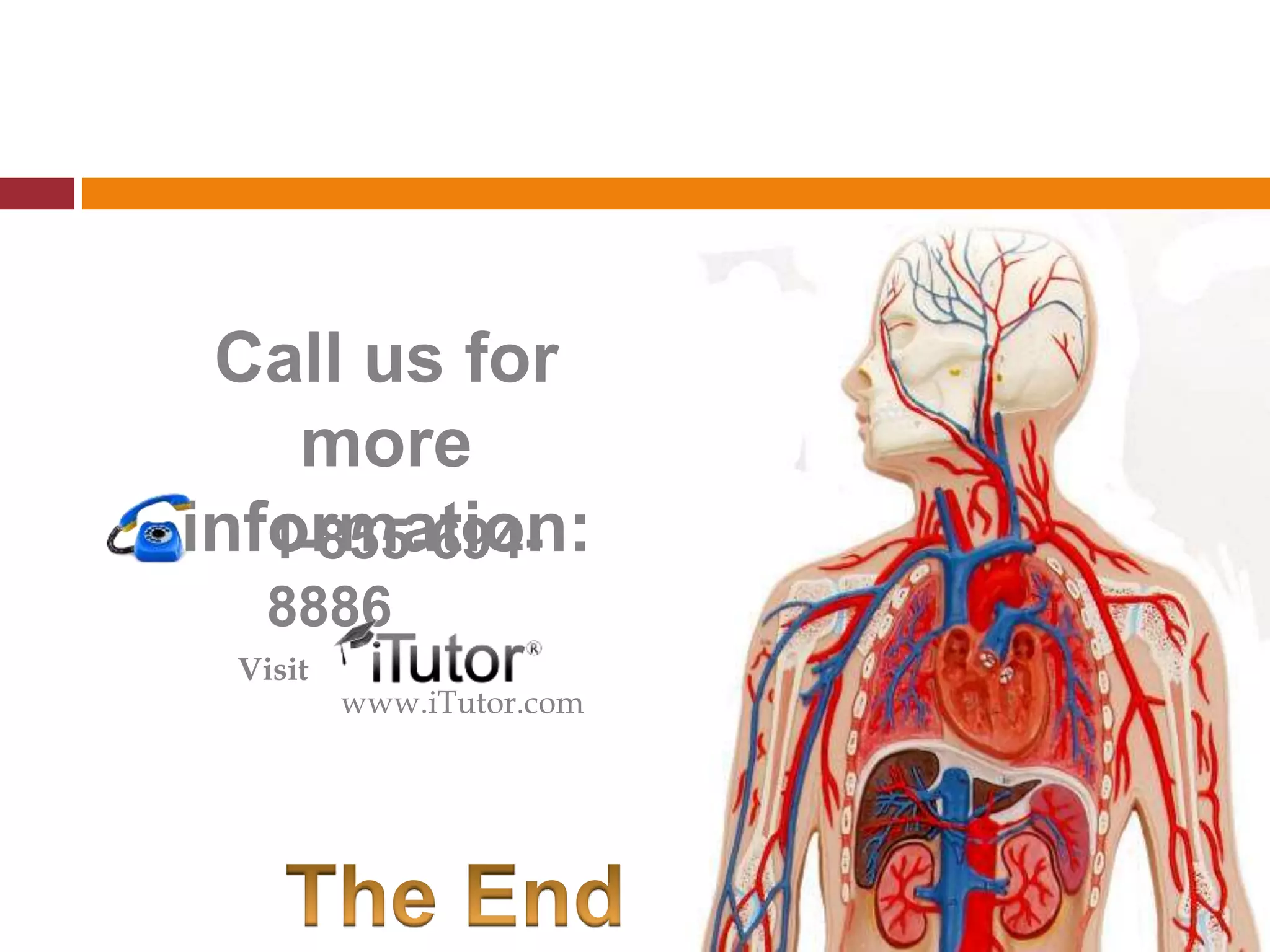 Call us for
more
information:
www.iTutor.com
1-855-694-
8886
Visit
 