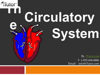 Th
e
Circulatory
System
T- 1-855-694-8886
Email- info@iTutor.com
By iTutor.com
 
