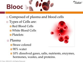 Blood
 Composed of plasma and blood cells
 Types of Cells are:
 Red Blood Cells
 White Blood Cells
 Platelets
© iTutor. 2000-2013. All Rights Reserved
 Plasma
 Straw colored
 90% water
 10% dissolved gases, salts, nutrients, enzymes,
hormones, wastes, and proteins.
 
