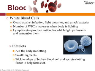  White Blood Cells
 Guard against infection, fight parasites, and attack bacteria
 Number of WBC’s increases when body is fighting
 Lymphocytes produce antibodies which fight pathogens
and remember them
Blood
© iTutor. 2000-2013. All Rights Reserved
 Platelets
 Aid the body in clotting
 Small fragments
 Stick to edges of broken blood cell and secrete clotting
factor to help form clot.
 