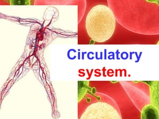 Circulatory
system.

 