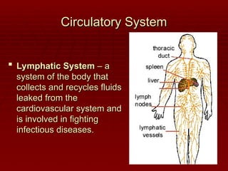 Circulatory System
Circulatory System
 Lymphatic System
Lymphatic System – a
– a
system of the body that
system of the body that
collects and recycles fluids
collects and recycles fluids
leaked from the
leaked from the
cardiovascular system and
cardiovascular system and
is involved in fighting
is involved in fighting
infectious diseases.
infectious diseases.
 