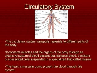 •The circulatory system transports materials to different parts of
The circulatory system transports materials to different parts of
the body.
the body.
•It connects muscles and the organs of the body through an
It connects muscles and the organs of the body through an
extensive system of blood vessels that transport blood, a mixture
extensive system of blood vessels that transport blood, a mixture
of specialized cells suspended in a specialized fluid called plasma.
of specialized cells suspended in a specialized fluid called plasma.
•The heart a muscular pump propels the blood through this
The heart a muscular pump propels the blood through this
system.
system.
Circulatory System
Circulatory System
 
