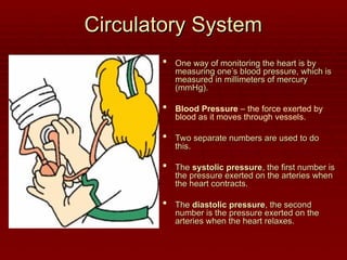 Circulatory System
Circulatory System
 One way of monitoring the heart is by
One way of monitoring the heart is by
measuring one’s blood pressure, which is
measuring one’s blood pressure, which is
measured in millimeters of mercury
measured in millimeters of mercury
(mmHg).
(mmHg).
 Blood Pressure – the force exerted by
blood as it moves through vessels.
 Two separate numbers are used to do
Two separate numbers are used to do
this.
this.
 The
The systolic pressure
systolic pressure, the first number is
, the first number is
the pressure exerted on the arteries when
the pressure exerted on the arteries when
the heart contracts.
the heart contracts.
 The
The diastolic pressure
diastolic pressure, the second
, the second
number is the pressure exerted on the
number is the pressure exerted on the
arteries when the heart relaxes.
arteries when the heart relaxes.
 