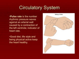 Circulatory System
Circulatory System
•Pulse rate is the number
rhythmic pressure waves
against an arterial wall
caused by a contraction of
the left ventricle; indicator of
heart rate.
•Good diet, life style and
being physical active keep
the heart healthy.
 