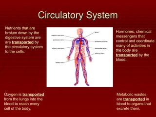 Circulatory System
Circulatory System
Nutrients that are
broken down by the
digestive system are
are transported by
the circulatory system
to the cells.
Oxygen is transported
from the lungs into the
blood to reach every
cell of the body.
Metabolic wastes
are transported in
blood to organs that
excrete them.
Hormones, chemical
messengers that
control and coordinate
many of activities in
the body are
transported by the
blood.
 