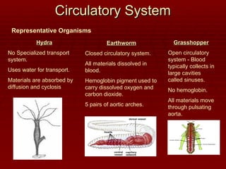 Circulatory System
Circulatory System
Representative Organisms
Hydra
Hydra
No Specialized transport
system.
Uses water for transport.
Materials are absorbed by
diffusion and cyclosis
Earthworm
Earthworm
Closed circulatory system.
All materials dissolved in
blood.
Hemoglobin pigment used to
carry dissolved oxygen and
carbon dioxide.
5 pairs of aortic arches.
Grasshopper
Grasshopper
Open circulatory
system - Blood
typically collects in
large cavities
called sinuses.
No hemoglobin.
All materials move
through pulsating
aorta.
 