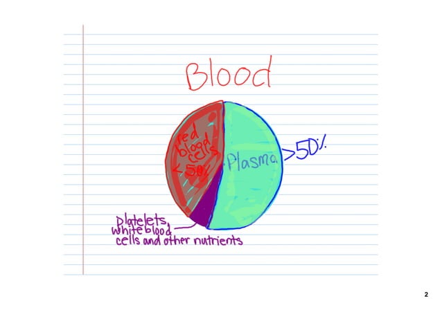 circulatory-system-notes-pdf-ppt