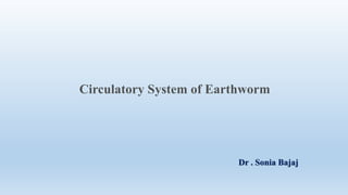 Circulatory System of Earthworm
Dr . Sonia Bajaj
 