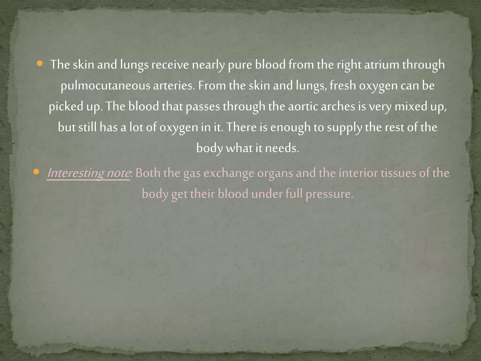  Theskinandlungsreceive nearlypurebloodfromtherightatriumthrough
pulmocutaneousarteries. Fromtheskinandlungs,freshoxygencanbe
pickedup.Thebloodthatpassesthroughtheaorticarchesisverymixedup,
butstillhasa lotofoxygeninit.Thereisenoughtosupplytherestofthe
bodywhatitneeds.
 Interestingnote:Boththegas exchangeorgansand theinteriortissuesofthe
bodygettheir bloodunderfullpressure.
 