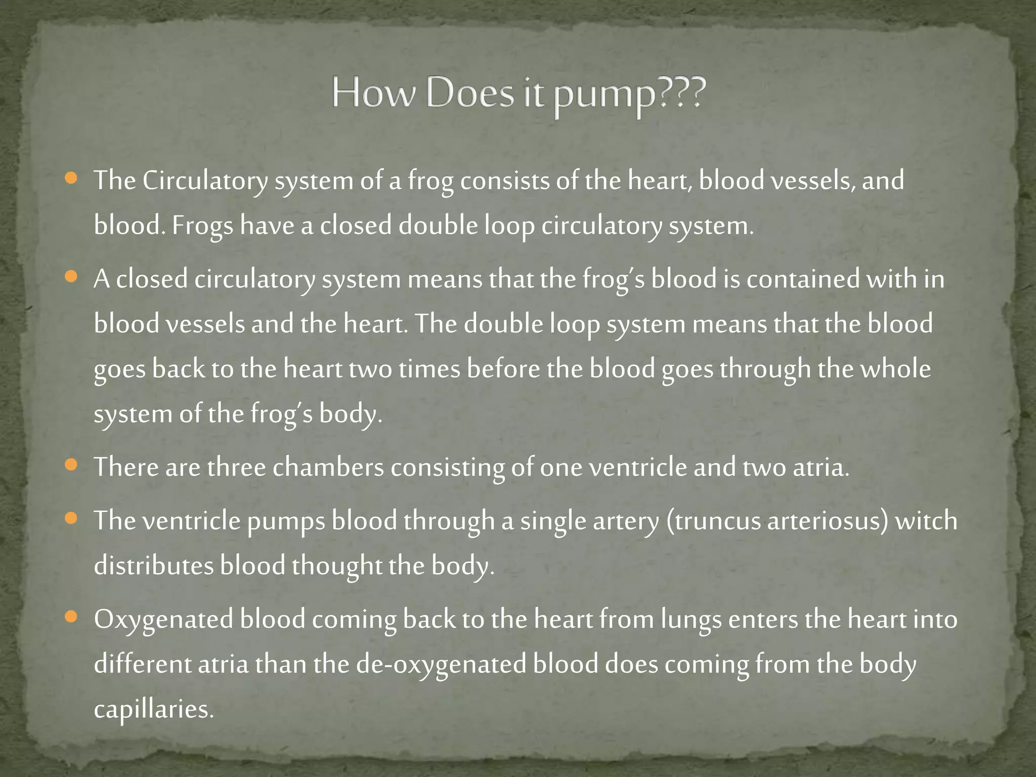  TheCirculatorysystemofa frog consistsoftheheart,bloodvessels,and
blood.Frogshavea closeddoubleloopcirculatorysystem.
 Aclosedcirculatorysystemmeansthatthefrog’sbloodiscontainedwithin
bloodvesselsandtheheart.Thedoubleloopsystemmeansthattheblood
goesbacktothehearttwotimesbeforethebloodgoesthroughthewhole
systemofthefrog’sbody.
 Thereare threechambers consistingofoneventricleandtwoatria.
 Theventriclepumpsbloodthrougha singleartery(truncusarteriosus)witch
distributesbloodthoughtthebody.
 Oxygenatedbloodcomingbacktotheheartfromlungsenterstheheartinto
differentatria than thede-oxygenatedblooddoescomingfrom thebody
capillaries.
 