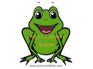 Frog’s Circulatory
System
 