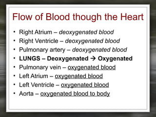 Flow of Blood though the Heart
• Right Atrium – deoxygenated blood
• Right Ventricle – deoxygenated blood
• Pulmonary artery – deoxygenated blood
• LUNGS – Deoxygenated  Oxygenated
• Pulmonary vein – oxygenated blood
• Left Atrium – oxygenated blood
• Left Ventricle – oxygenated blood
• Aorta – oxygenated blood to body
 