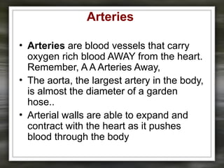 Arteries
• Arteries are blood vessels that carry
oxygen rich blood AWAY from the heart.
Remember, A A Arteries Away,
• The aorta, the largest artery in the body,
is almost the diameter of a garden
hose..
• Arterial walls are able to expand and
contract with the heart as it pushes
blood through the body
 