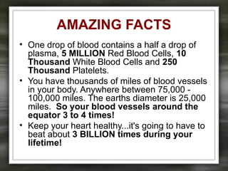 AMAZING FACTS
• One drop of blood contains a half a drop of
plasma, 5 MILLION Red Blood Cells, 10
Thousand White Blood Cells and 250
Thousand Platelets.
• You have thousands of miles of blood vessels
in your body. Anywhere between 75,000 -
100,000 miles. The earths diameter is 25,000
miles. So your blood vessels around the
equator 3 to 4 times!
• Keep your heart healthy...it's going to have to
beat about 3 BILLION times during your
lifetime!
 