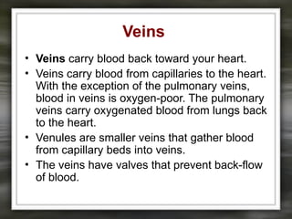 Veins
• Veins carry blood back toward your heart.
• Veins carry blood from capillaries to the heart.
With the exception of the pulmonary veins,
blood in veins is oxygen-poor. The pulmonary
veins carry oxygenated blood from lungs back
to the heart.
• Venules are smaller veins that gather blood
from capillary beds into veins.
• The veins have valves that prevent back-flow
of blood.
 