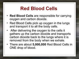 Red Blood Cells
• Red Blood Cells are responsible for carrying
oxygen and carbon dioxide.
• Red Blood Cells pick up oxygen in the lungs
and transport it to all the body cells.
• After delivering the oxygen to the cells it
gathers up the carbon dioxide and transports
carbon dioxide back to the lungs where it is
removed from the body when we exhale.
• There are about 5,000,000 Red Blood Cells in
ONE drop of blood.
 