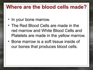 Where are the blood cells made?
• In your bone marrow.
• The Red Blood Cells are made in the
red marrow and White Blood Cells and
Platelets are made in the yellow marrow.
• Bone marrow is a soft tissue inside of
our bones that produces blood cells.
 
