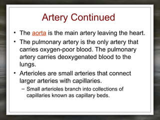 Artery Continued
• The aorta is the main artery leaving the heart.
• The pulmonary artery is the only artery that
carries oxygen-poor blood. The pulmonary
artery carries deoxygenated blood to the
lungs.
• Arterioles are small arteries that connect
larger arteries with capillaries.
– Small arterioles branch into collections of
capillaries known as capillary beds.
 