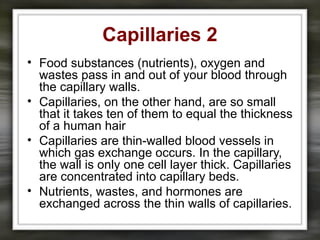 Capillaries 2
• Food substances (nutrients), oxygen and
wastes pass in and out of your blood through
the capillary walls.
• Capillaries, on the other hand, are so small
that it takes ten of them to equal the thickness
of a human hair
• Capillaries are thin-walled blood vessels in
which gas exchange occurs. In the capillary,
the wall is only one cell layer thick. Capillaries
are concentrated into capillary beds.
• Nutrients, wastes, and hormones are
exchanged across the thin walls of capillaries.
 