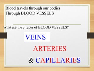 Blood travels through our bodies
Through BLOOD VESSELS
What are the 3 types of BLOOD VESSELS?
VEINS
ARTERIES
& CAPILLARIES
 