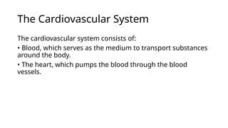 Circulatory System Powerpoint presentation | PPTX