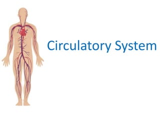 Circulatory System
 