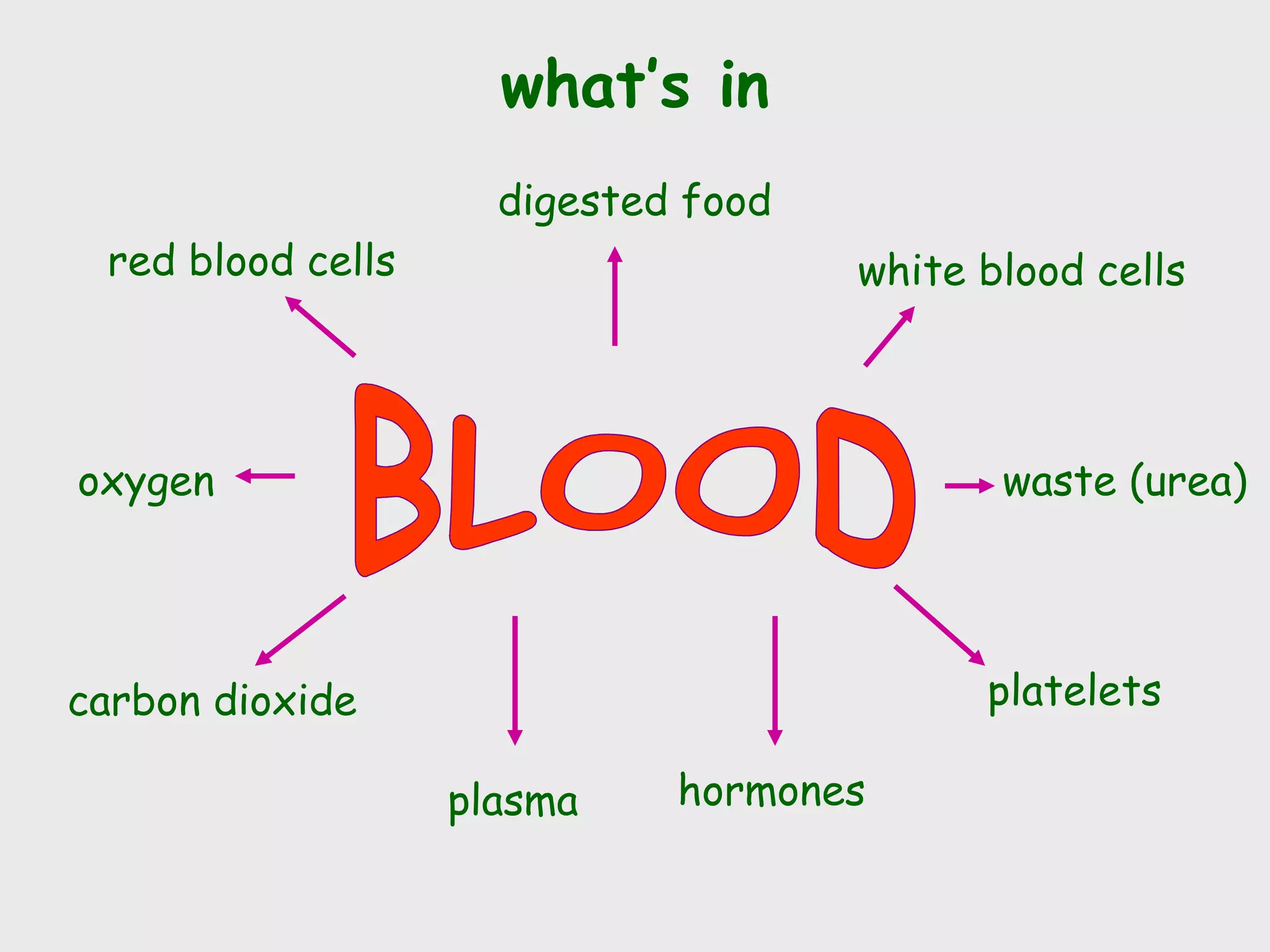 what’s in
                     digested food
 red blood cells                     white blood cells



oxygen                                      waste (urea)




carbon dioxide                             platelets

                   plasma    hormones
 