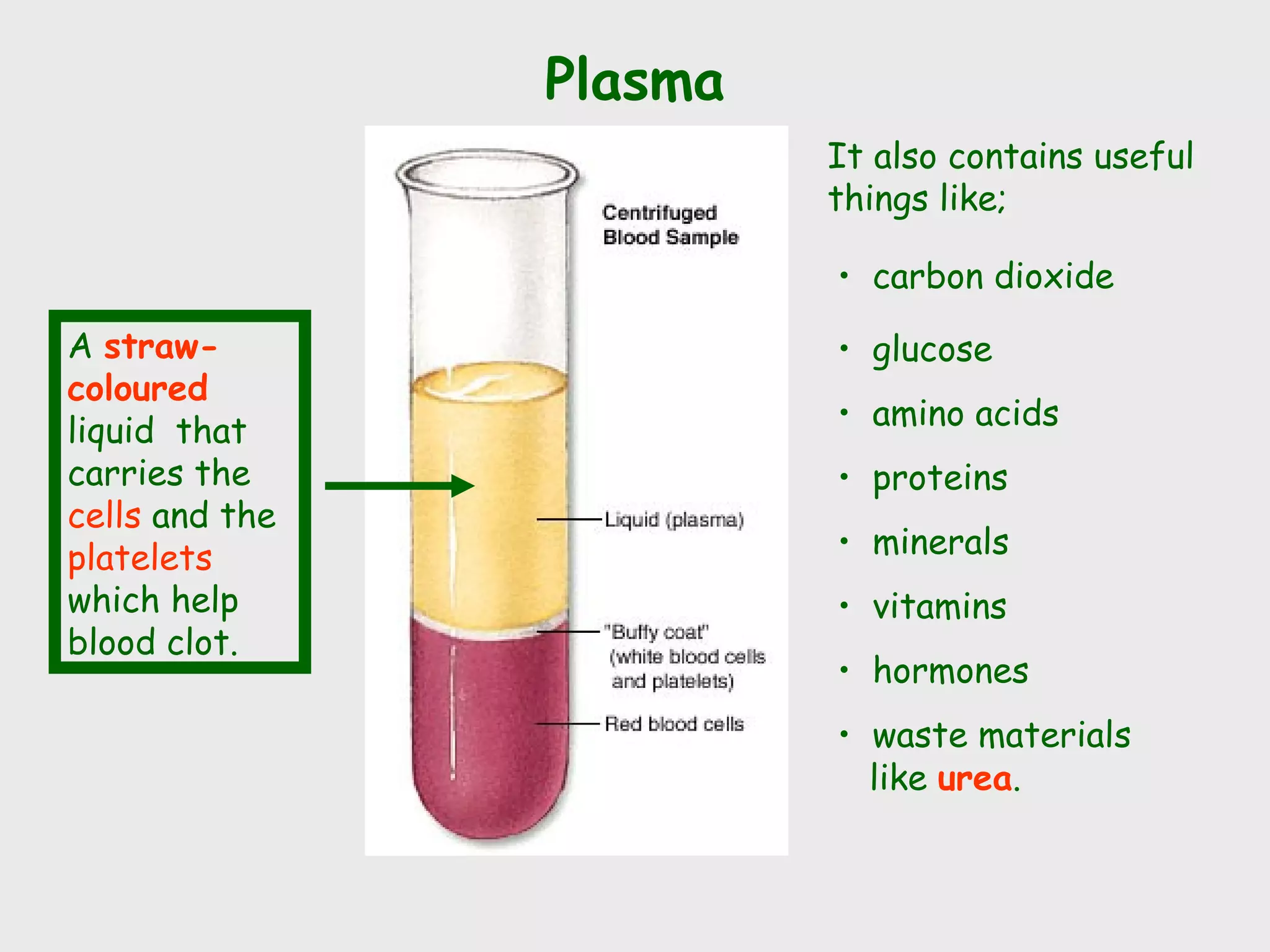 Plasma
                         It also contains useful
                         things like;

                         • carbon dioxide
A straw-                 • glucose
coloured
liquid that              • amino acids
carries the              • proteins
cells and the
platelets                • minerals
which help               • vitamins
blood clot.
                         • hormones
                         • waste materials
                           like urea.
 