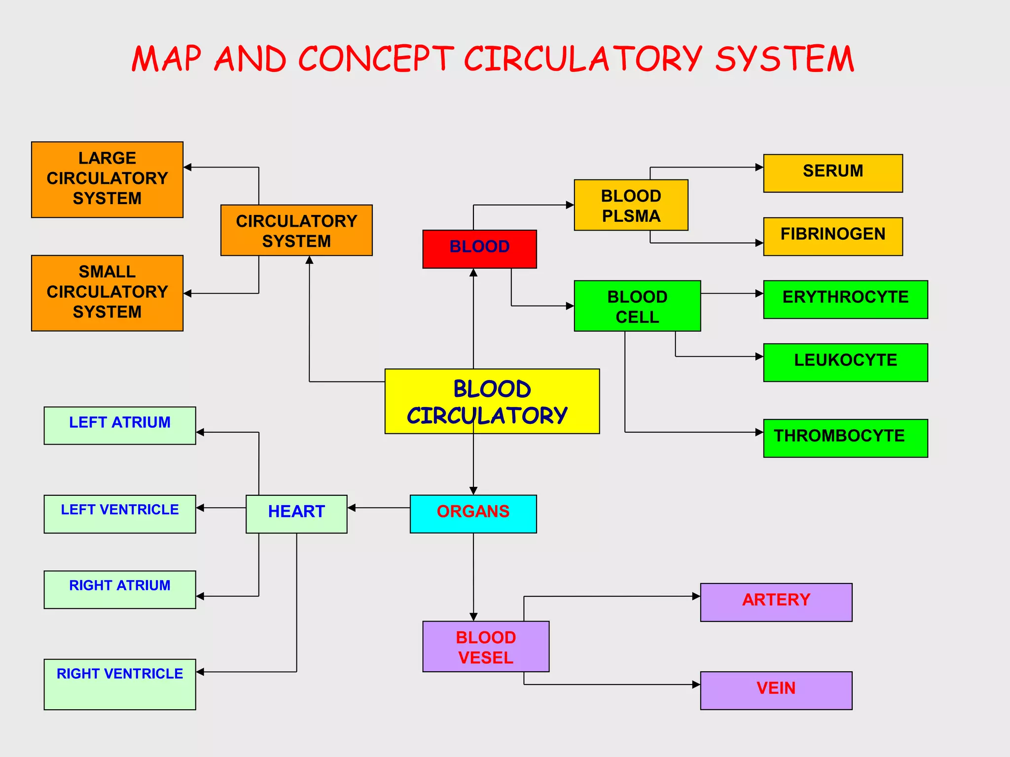 MAP AND CONCEPT CIRCULATORY SYSTEM

   LARGE
CIRCULATORY                                                   SERUM
   SYSTEM                                     BLOOD
                  CIRCULATORY                 PLSMA
                     SYSTEM                              FIBRINOGEN
                                   BLOOD
    SMALL
CIRCULATORY                                   BLOOD      ERYTHROCYTE
   SYSTEM                                      CELL

                                                          LEUKOCYTE
                                   BLOOD
  LEFT ATRIUM                   CIRCULATORY
                                                        THROMBOCYTE



 LEFT VENTRICLE     HEART         ORGANS



  RIGHT ATRIUM
                                                      ARTERY

                                   BLOOD
                                   VESEL
RIGHT VENTRICLE
                                                       VEIN
 