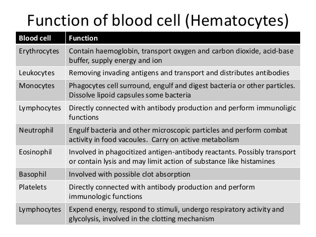 Circulatory systems and function of blood cells