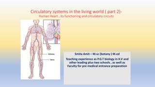 Circulatory systems in the living world ( part 2)-
Human Heart , its functioning and circulatory circuits
Smita Amit – M.sc (botany ) M.ed
Teaching experience as P.G.T biology in K.V and
other leading plus two schools , as well as
Faculty for pre medical entrance preparation
 
